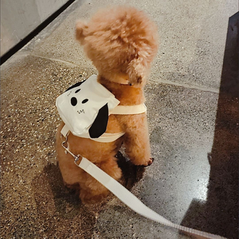 Kutyapóráz kötélből - Nyári rajzfilmszerű dizájn - Anyag: Egyéb - Nem húzható - Kiegészítő