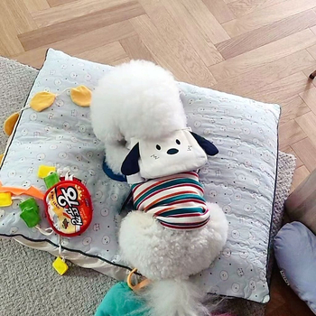 Kutyapóráz kötélből - Nyári rajzfilmszerű dizájn - Anyag: Egyéb - Nem húzható - Kiegészítő