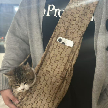 Geantă de purtat pentru animale de companie – pânză, brand ironbaby, capacitate 500, cu două fețe, model cu litere