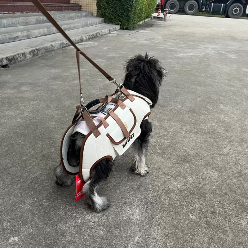 Légáteresztő kutya crossbody hátizsák kézi fogantyúval