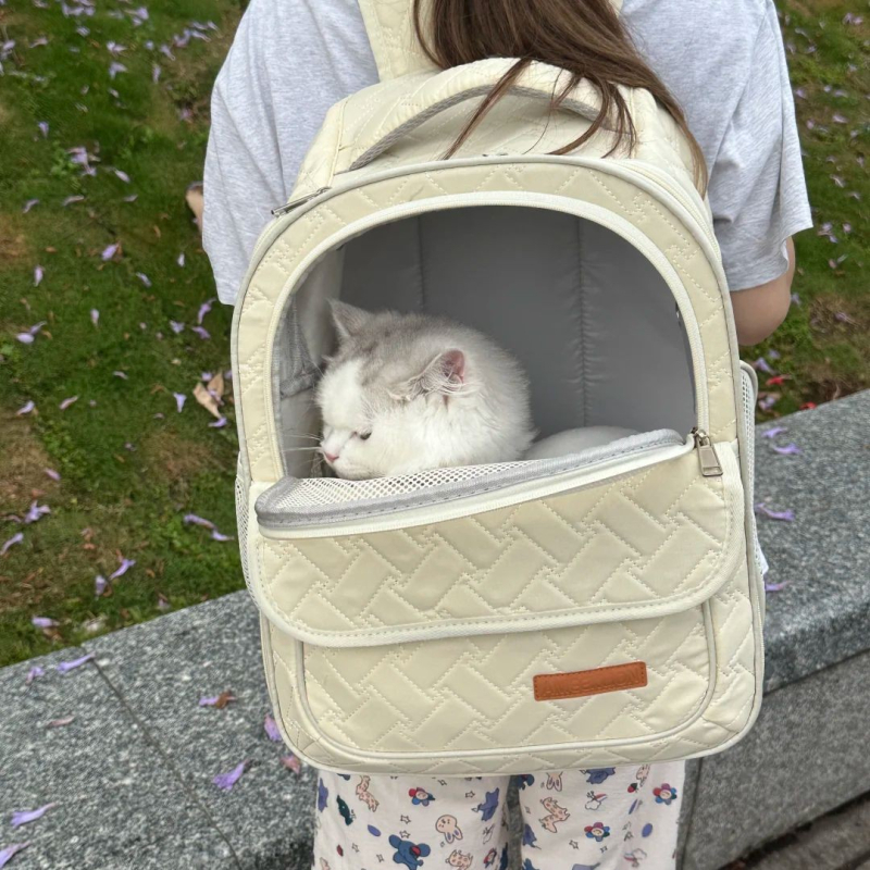 Персонализирана чанта за домашни любимци: раница за котки в стил космическа капсула за разходки, платно, модел с букви, средна твърдост