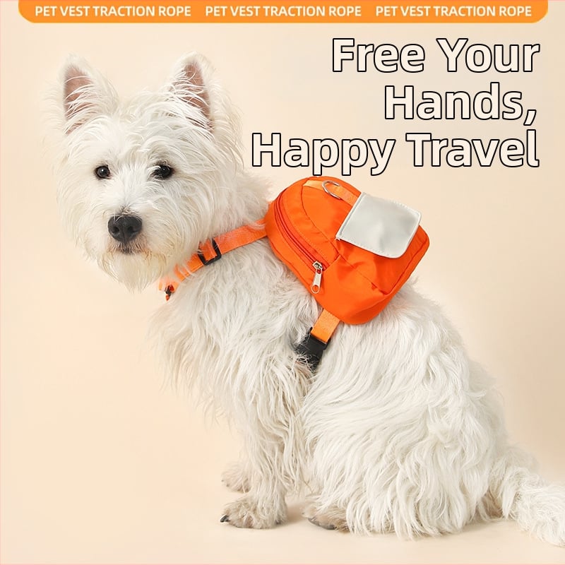 Ham de piept din poliester pentru pisici, cu lesă din sfoară, portabil