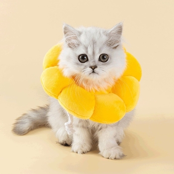 Elizabeth-korong macskáknak és kutyáknak, pamut anyag, univerzális illeszkedés, egész éves használat, lezser stílus