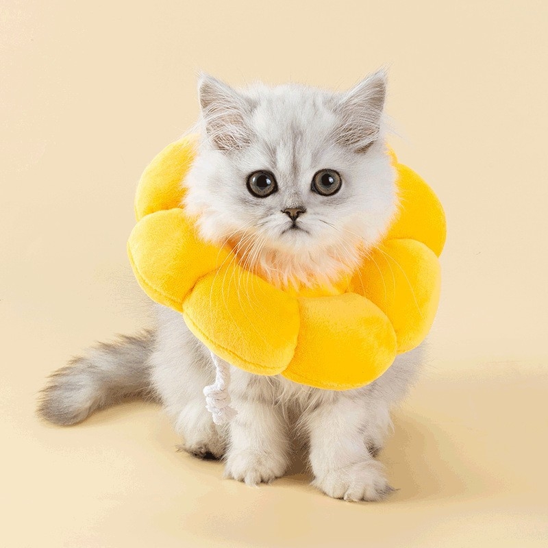 Elizabeth-korong macskáknak és kutyáknak, pamut anyag, univerzális illeszkedés, egész éves használat, lezser stílus