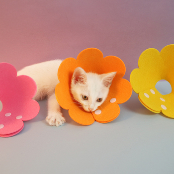 Filcből készült napraforgó mintázatú Elizabeth-korona háziállatoknak – posztoperatív, vízálló, nyalogatás és harapás elleni védelem, macskák és kutyák számára