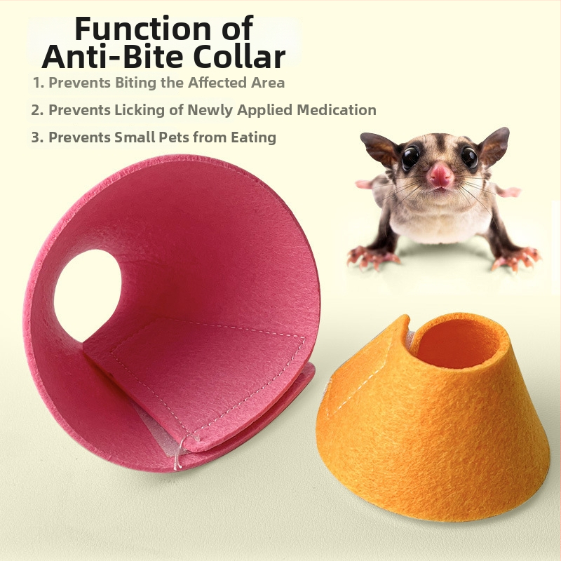 Anti-bites Elizabetha apkakle mazajiem mājdzīvniekiem — Sugar Gliders, hamsters, vāveres un citas — Korejas velūrs