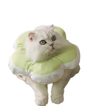 Tongbo háziállat Elizabeth-kollár – Cartoon minta, Poliészter, Univerzális, Anti nyalogatás