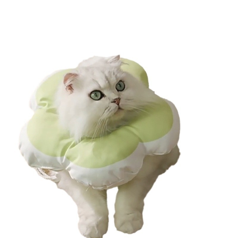 Tongbo háziállat Elizabeth-kollár – Cartoon minta, Poliészter, Univerzális, Anti nyalogatás