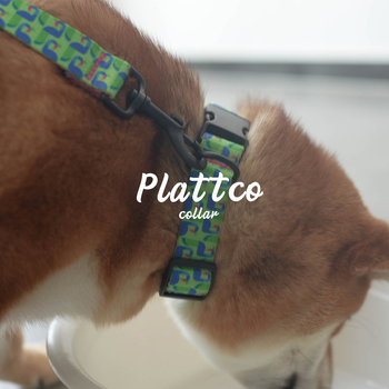 Kutyanyakörv virágmintával, műnylon anyag, Dancing Peacock, modell PDC314, PLATTCO