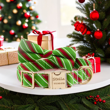 Csíkos mintázatú kutyanyakörv, poliészter, dadugo márka, univerzális használat, Halloweenre alkalmas