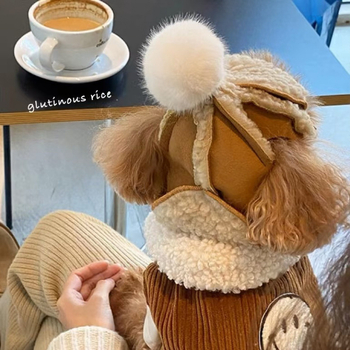 Flíssel bevont kutyasapka őszre és télre – Teddy, Bichon Frisé, Francia bulldog, Shiba Inu, Schnauzer – fejfedő imitált juhbőr hatású