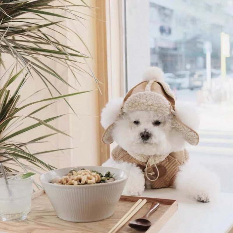 Flíssel bevont kutyasapka őszre és télre – Teddy, Bichon Frisé, Francia bulldog, Shiba Inu, Schnauzer – fejfedő imitált juhbőr hatású