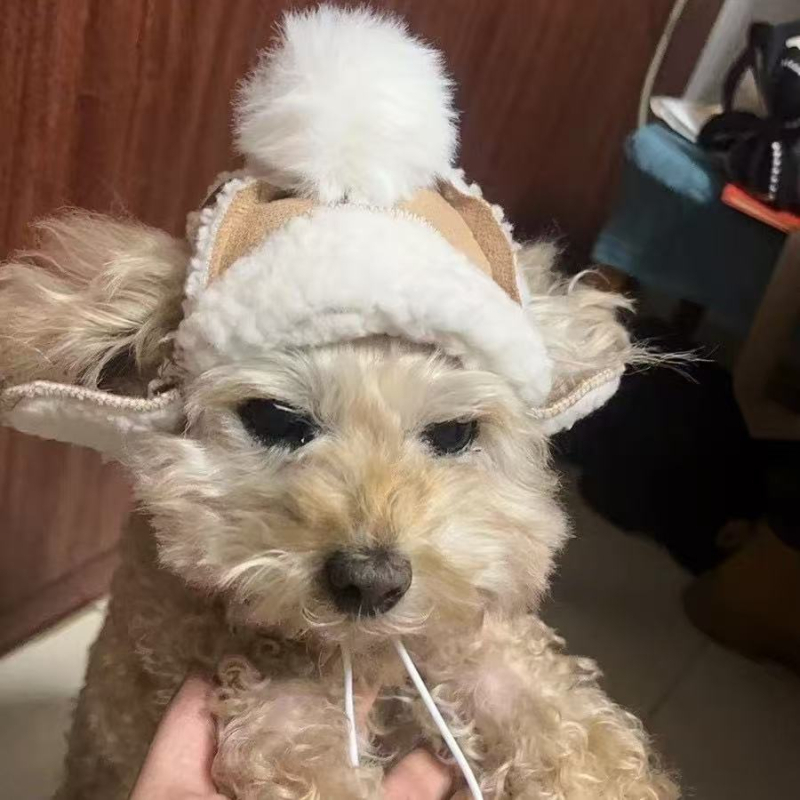 Kültéri sapka háziállatoknak, meleg fleece bélés, szélálló, mongol stílusú