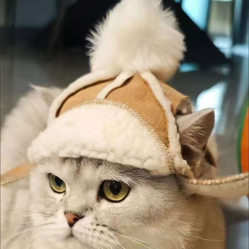 Kültéri sapka háziállatoknak, meleg fleece bélés, szélálló, mongol stílusú