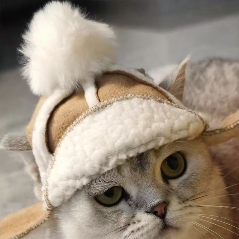 Kültéri sapka háziállatoknak, meleg fleece bélés, szélálló, mongol stílusú