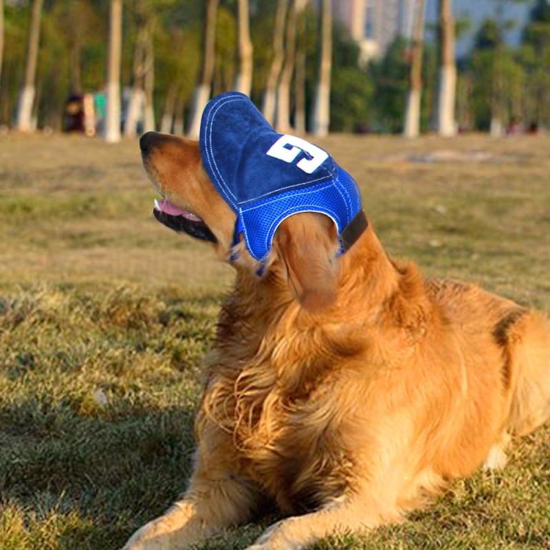 Cuki kutyás baseball sapka kinyúló fülekkel, kis- és nagytestű fajtáknak