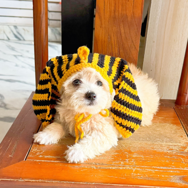 Комплект шапка и престилка за домашни любимци за Хелоуин – Фараон от Древен Египет, вълнено плетиво, универсално приложение