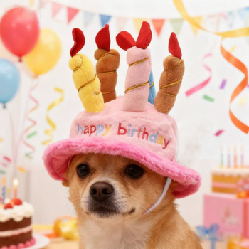 Psí čiapka – vyšívaná z akrylového vlákna, štyri ročné obdobia, ležérny štýl