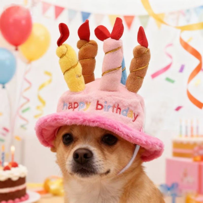 Psí čiapka – vyšívaná z akrylového vlákna, štyri ročné obdobia, ležérny štýl