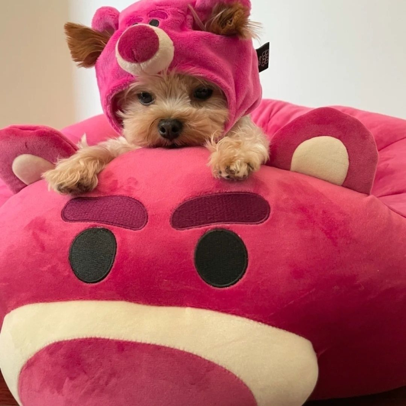 Kapa od vune za mačku s dizajnom Strawberry Bear – Brand Unique, za jesen