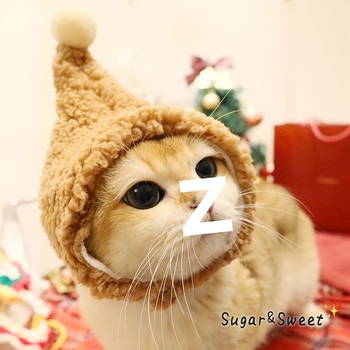 Pălărie de lână pentru pisici, pentru toamnă, ședințe foto