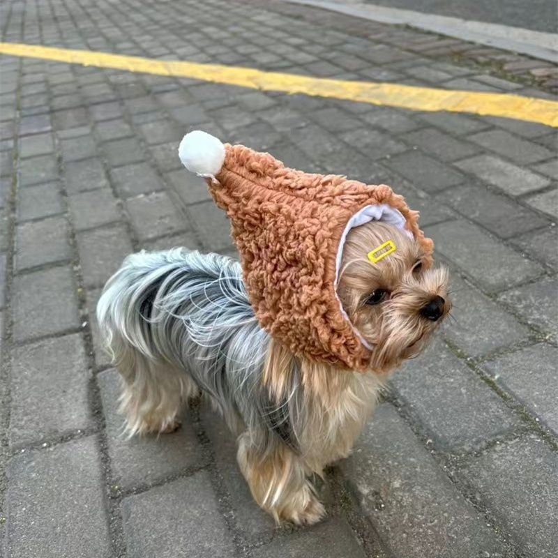 Pălărie de lână pentru pisici, pentru toamnă, ședințe foto