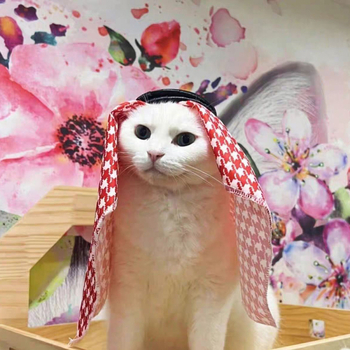 Турбан-шапка за домашни любимци (котки и кучета) – полиестер, слънцезащита, ветроустойчивост, защита срещу пясък