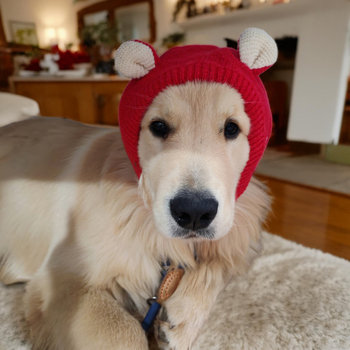 Téli kutyasapka közepes és nagy testű kutyáknak – Labrador és Golden Retriever, meleg fejfedő karácsonyra és új évre