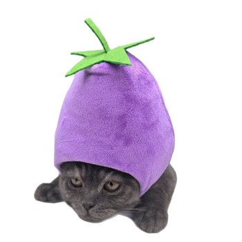 Šešir za kućne ljubimce s transformabilnim oblicima životinja, isšiven karikaturni cvjetni uzorak, poliester twill, za četiri sezone