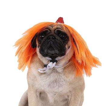 Set prilagodnika za kosu kućnih ljubimaca: paruka za mačke i pse, božićna kapa i ukosnice za kosu; Materijal: visokotemperaturna žica; univerzalna uporaba; ležerni stil