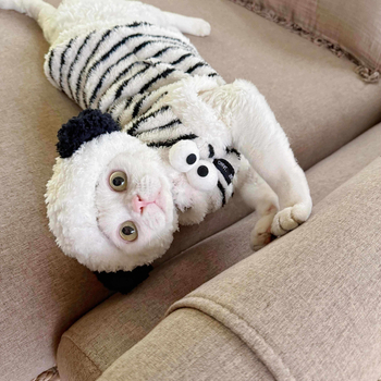 Zimska bezrukavska vestica za mačke od Coral fleece, za Sphynx i Devon Rex