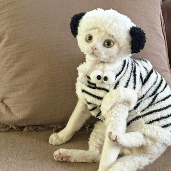 Zimska bezrukavska vestica za mačke od Coral fleece, za Sphynx i Devon Rex