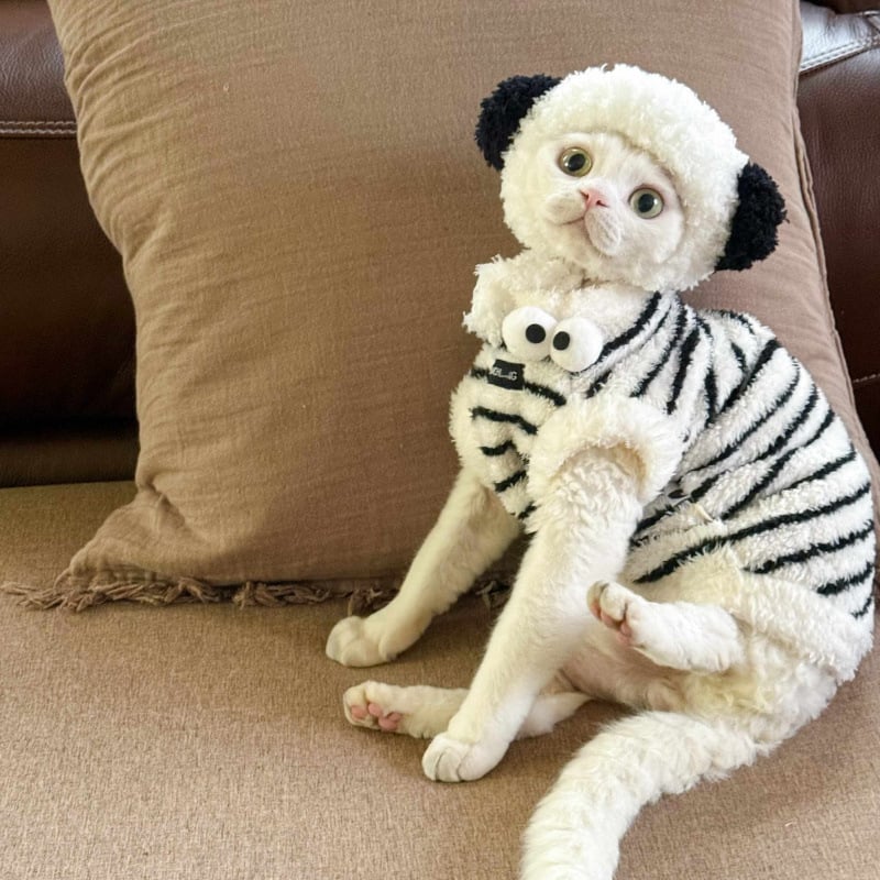 Zimska bezrukavska vestica za mačke od Coral fleece, za Sphynx i Devon Rex