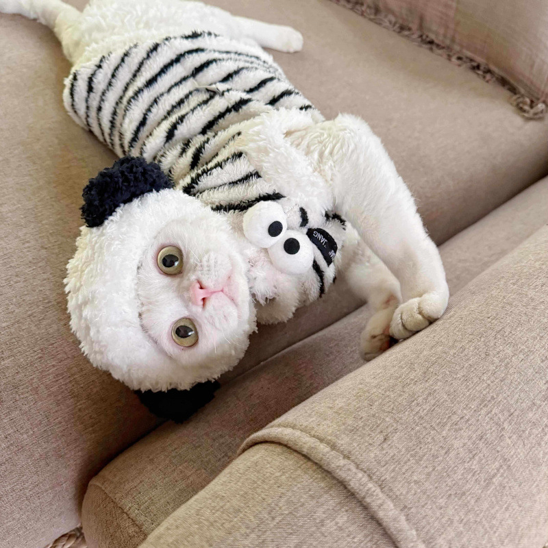Zimska bezrukavska vestica za mačke od Coral fleece, za Sphynx i Devon Rex