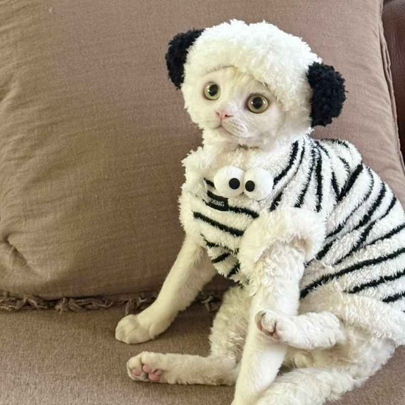 Zimska bezrukavska vestica za mačke od Coral fleece, za Sphynx i Devon Rex