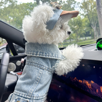 Petcircle комплект дрехи за кучета и котки: яке с шапка, полиестер, стил Leisure, дрехи за домашни любимци