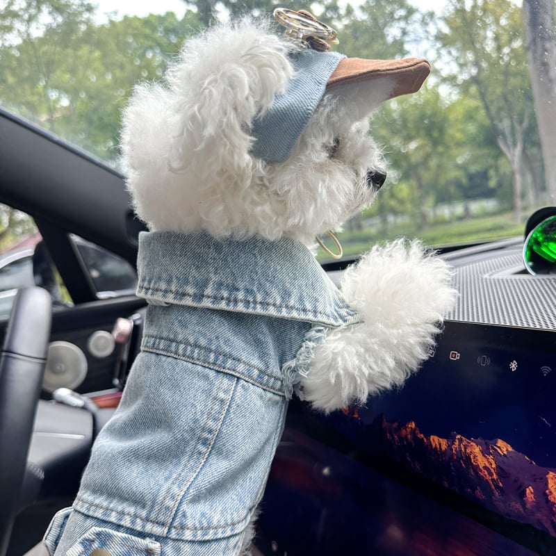 Petcircle комплект дрехи за кучета и котки: яке с шапка, полиестер, стил Leisure, дрехи за домашни любимци