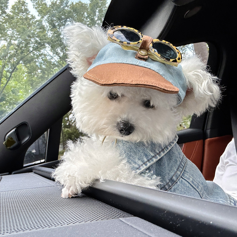 Petcircle комплект дрехи за кучета и котки: яке с шапка, полиестер, стил Leisure, дрехи за домашни любимци