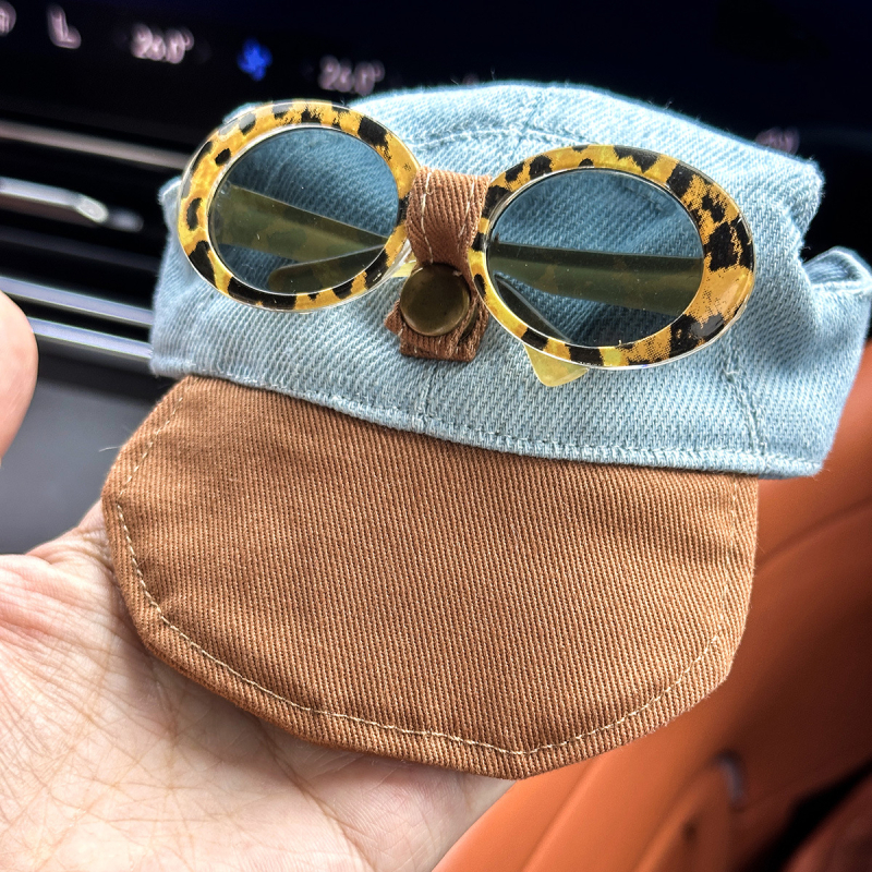 Petcircle комплект дрехи за кучета и котки: яке с шапка, полиестер, стил Leisure, дрехи за домашни любимци