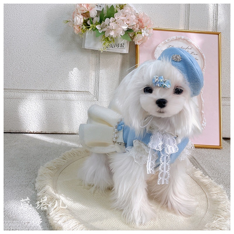 Kis testű kutyáknak készült pamutkabát, gyapjú/filc anyaggal, uniszex, hercegnő-stílusú ruha (Maltese, Yorkie, Bichon)