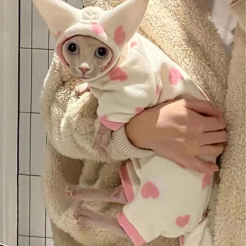 Devon Rex mačka odjeća - topla, s zaštitom trbuha i repa, flis podstava, jesenska kolekcija 2023