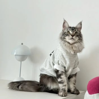 Téli meleg kapucnis pulóver kutyáknak és macskáknak
