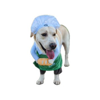 Transformačný kostým pre domáce zvieratá: kuchársky kostým s burgerovou čiapkou (polyester)