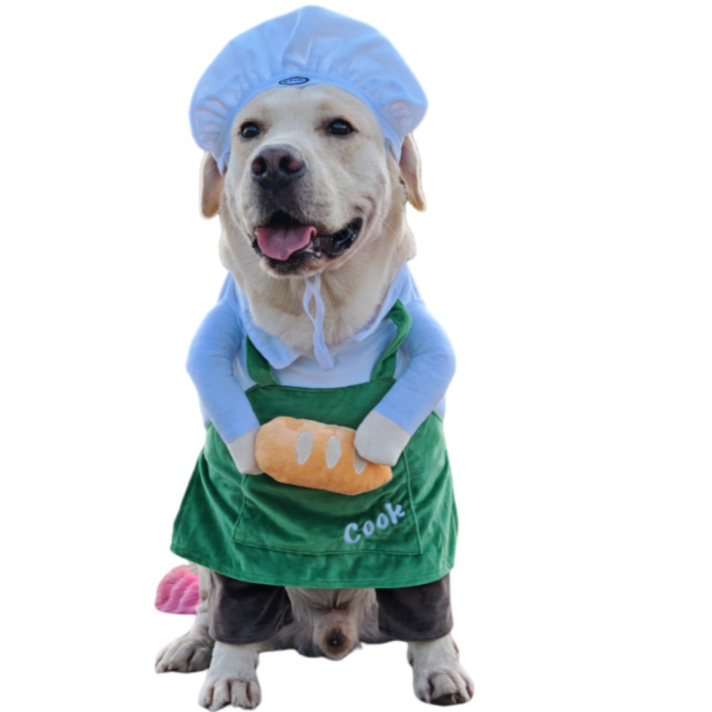 Transformačný kostým pre domáce zvieratá: kuchársky kostým s burgerovou čiapkou (polyester)