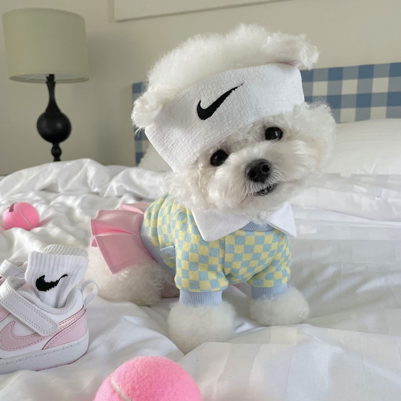 Guli Guli márkájú kisállat ruházat – pamut, INS-stílus, tenis ruházat