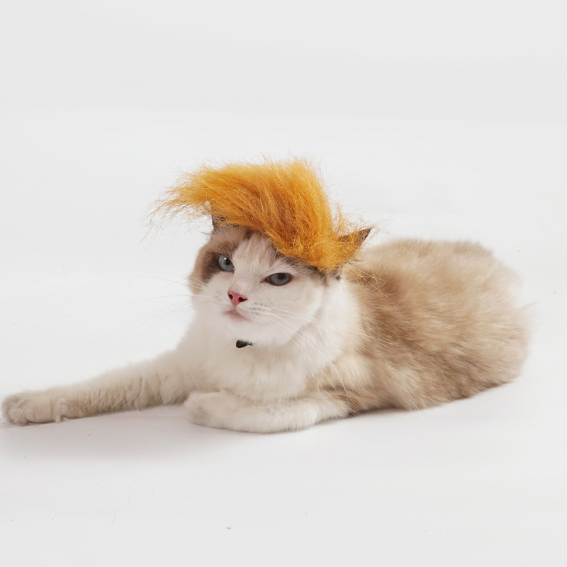 Trump-stílusú kisállat-paróka macskáknak és kutyáknak, sárga cosplay sapka