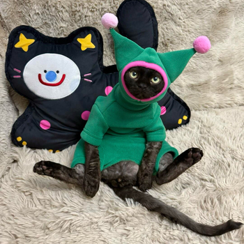 Zimska topla odjeća za mačke bez dlake — velur kapa s rogom i ukras od svile cvijeta