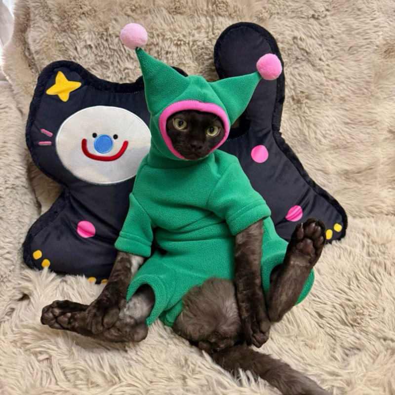 Zimska topla odjeća za mačke bez dlake — velur kapa s rogom i ukras od svile cvijeta