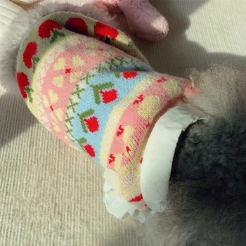 Meleg őszi-téli kötött mellény kutyáknak és macskáknak, aranyos mintázat