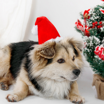 Piros karácsonyi sapka háziállatoknak – aranyos díszítő fejfedő kutyáknak és macskáknak